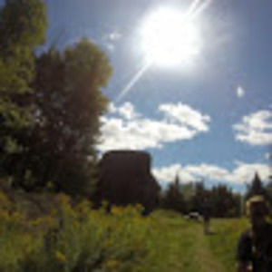 Meet your Posher, Amelia